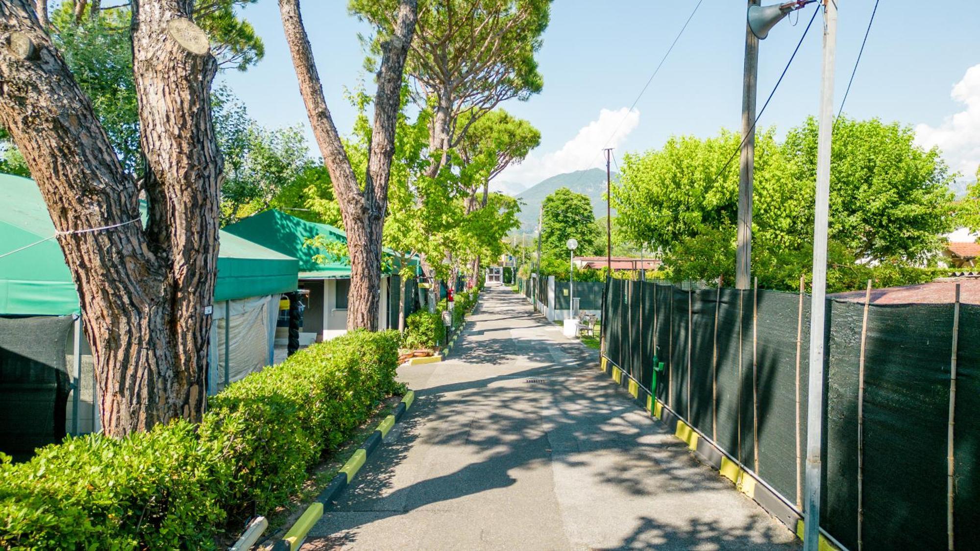 Camping Apuano マリーナ・ディ・マッサ エクステリア 写真